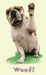 animated-dog-image-0284.gif