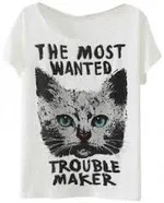 cat.webp