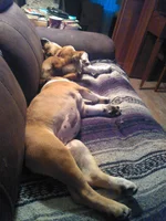 IMG_2017-05-23_20-44-48.webp
