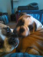 IMG_2017-05-25_16-06-19.webp