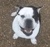 Cooper_9.webp Cooper_9.webp