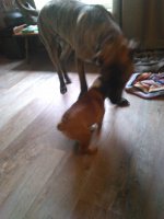 IMG_2017-05-26_17-41-47.jpeg