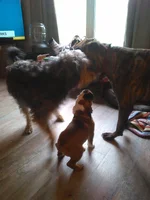 IMG_2017-05-26_17-42-11.webp