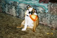 2-9-2006-13.webp