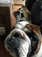 IMG_20170326_125710.webp