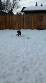 IMG_20170129_142311496.jpg IMG_20170129_142311496.jpg