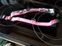 Pink collar.webp Pink collar.webp