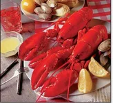 FullSizeRender.webp