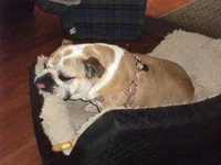 DSCF3109.webp
