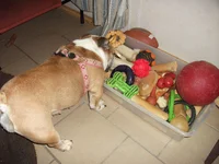DSCF3112.webp