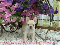 Sayings 2.webp