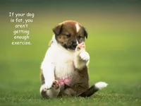 Sayings.webp