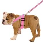 precision-fit-nylon-dog-harness-hot-pink-1.jpg