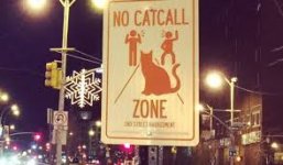 catcall.jpg