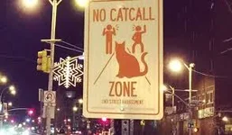 catcall.webp