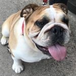 winston.jpg winston.jpg