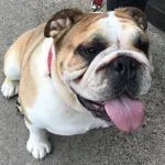 winston.webp winston.webp