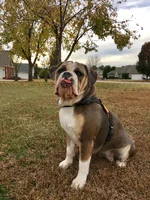 IMG_9239.webp