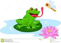 frog.jpg