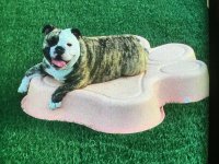 IMG_0160.JPG IMG_0160.JPG