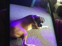 IMG_0162.JPG IMG_0162.JPG