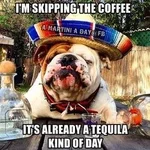01C976C3-4066-4A26-8490-105978D8E3E7.webp