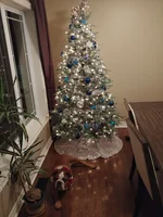 20171119_203848.webp