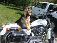 majoronbike.webp majoronbike.webp