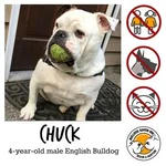 Chuck.webp Chuck.webp