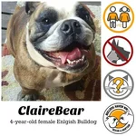 Clairebear.webp