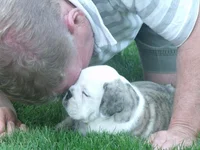 2013_06302013puppy0005.webp