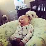 gus3.webp