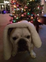 IMG_8398.JPG IMG_8398.JPG