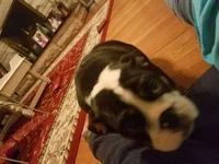 20181212_022547.webp