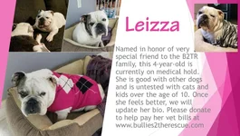 Leizza.webp