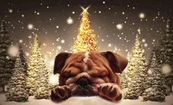 xmasplato.webp