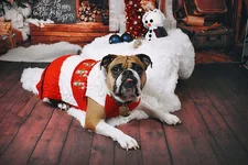 IMG_20181208_224726_215.webp