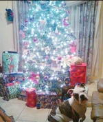 20181213_074553.webp