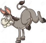 Donkey.jpeg