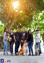 CÃ¡c_thÃ nh_viÃªn_của_Dogily_-_Gia_đÃ¬nh_cÃºn_cưng.webp