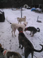 IMG_2017-12-07_12-39-29.webp IMG_2017-12-07_12-39-29.webp