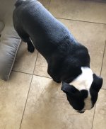 image.jpeg image.jpeg