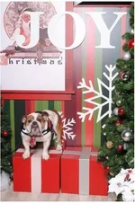 Nigel Xmas 2018.webp