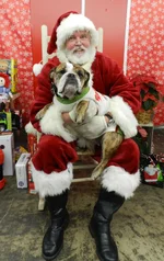DSCN6882.webp