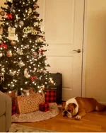 20181221_092537.webp