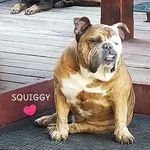 squiggy.webp