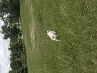 IMG_1259.webp IMG_1259.webp