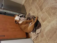 20181222_083808.webp