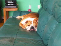 IMG-20120506-00127.jpg