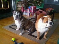 IMG00099-20101225-1019.jpg IMG00099-20101225-1019.jpg